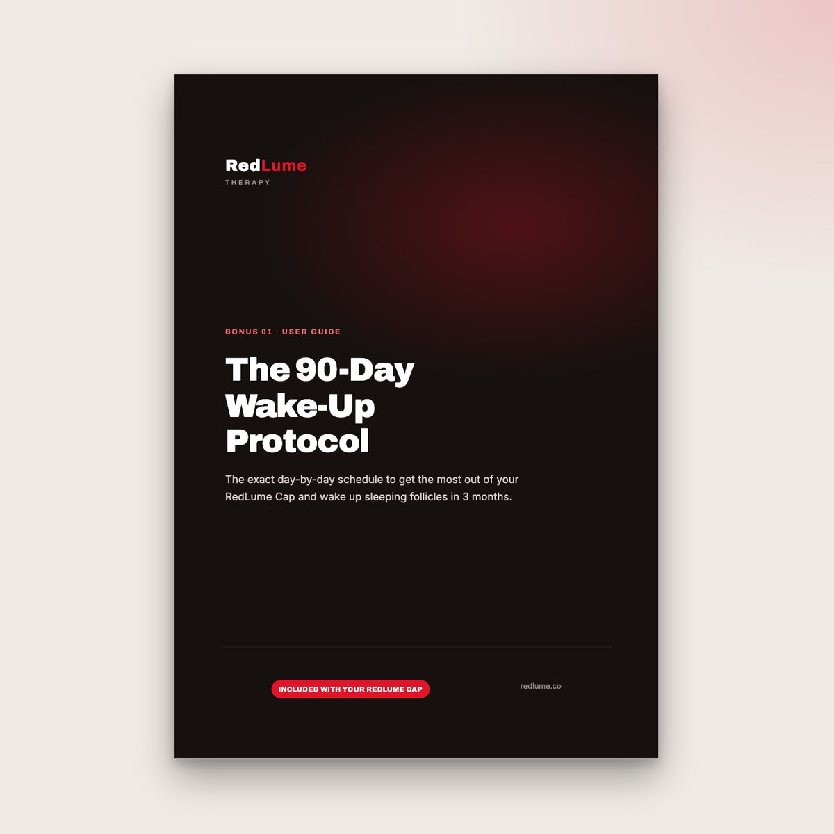 The 90-Day Wake-Up Protocol PDF cover