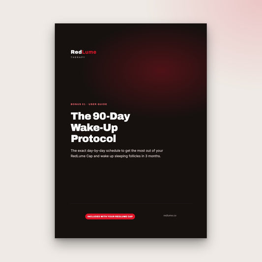 The 90-Day Wake-Up Protocol PDF cover